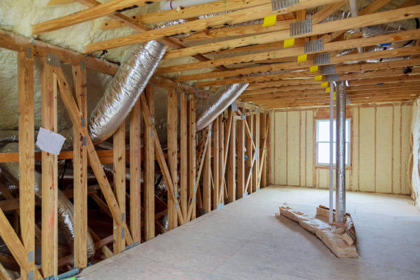 Best Local Insulation Services  in Paris, KY