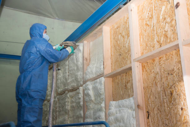 Insulation Replacement Services in Paris, KY