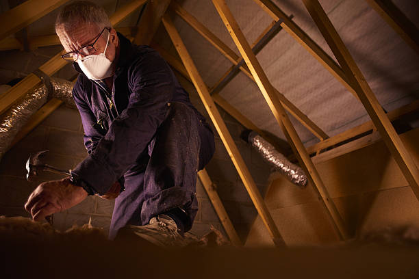 Best Spray Foam Insulation  in Paris, KY